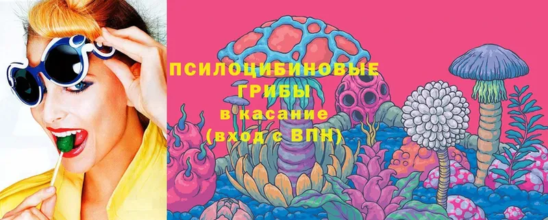 Псилоцибиновые грибы Magic Shrooms  KRAKEN рабочий сайт  Каспийск 